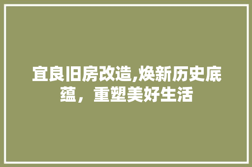 宜良旧房改造,焕新历史底蕴，重塑美好生活