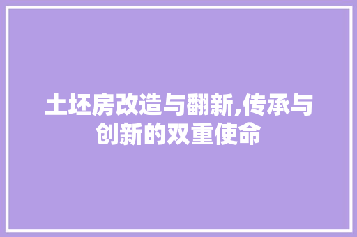 土坯房改造与翻新,传承与创新的双重使命