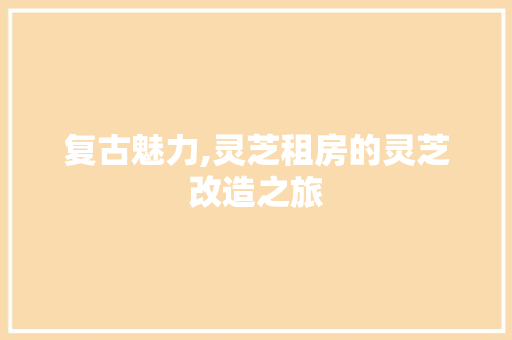 复古魅力,灵芝租房的灵芝改造之旅