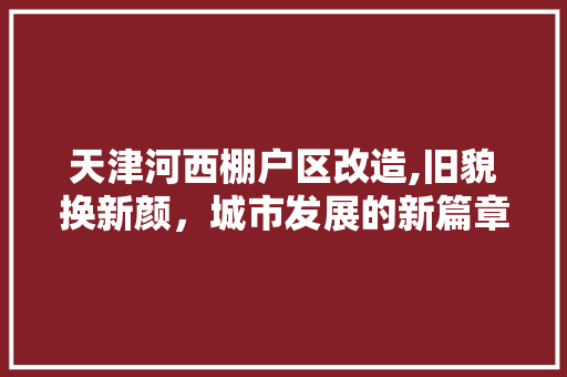 天津河西棚户区改造,旧貌换新颜，城市发展的新篇章