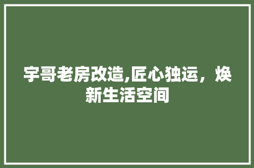 宇哥老房改造,匠心独运，焕新生活空间