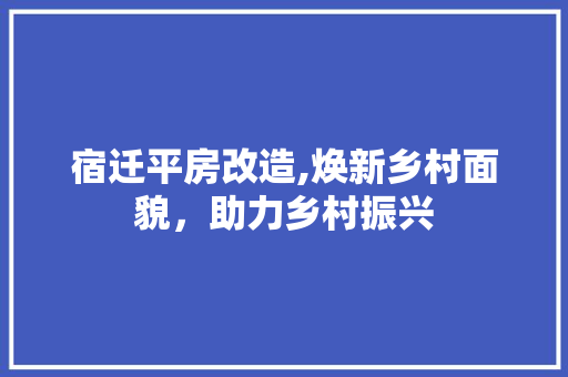 宿迁平房改造,焕新乡村面貌，助力乡村振兴