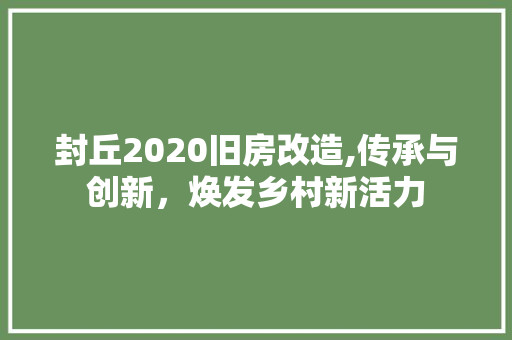 封丘2020旧房改造,传承与创新，焕发乡村新活力