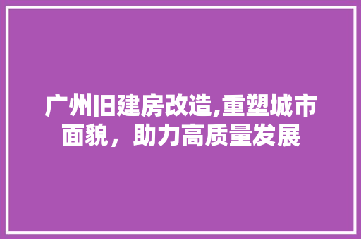 广州旧建房改造,重塑城市面貌，助力高质量发展