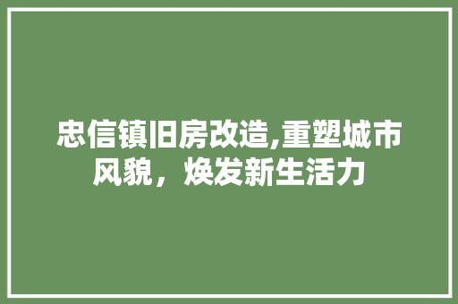 忠信镇旧房改造,重塑城市风貌，焕发新生活力