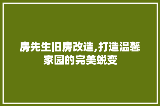 房先生旧房改造,打造温馨家园的完美蜕变