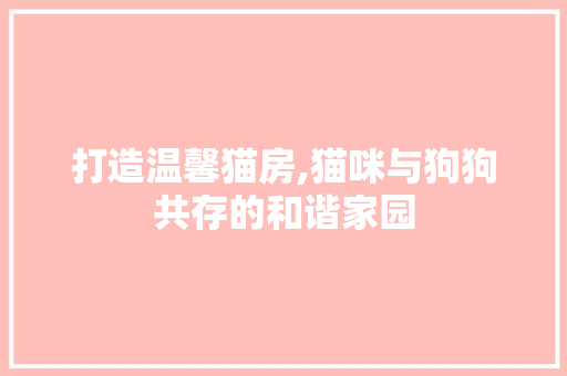 打造温馨猫房,猫咪与狗狗共存的和谐家园