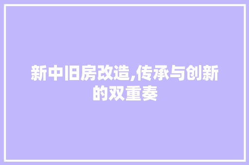 新中旧房改造,传承与创新的双重奏