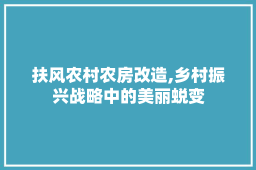 扶风农村农房改造,乡村振兴战略中的美丽蜕变
