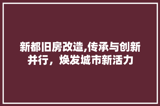 新都旧房改造,传承与创新并行，焕发城市新活力
