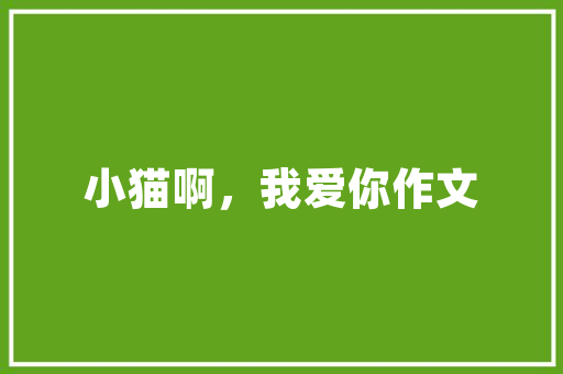施甸危房改造,筑牢民生底线，助力乡村振兴