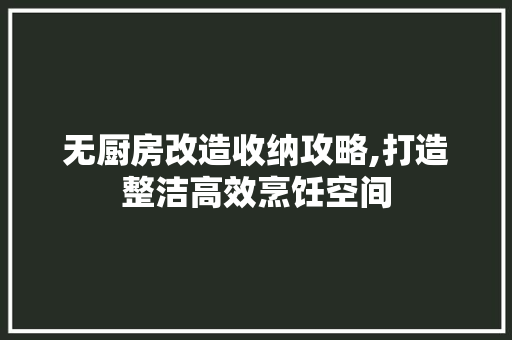 无厨房改造收纳攻略,打造整洁高效烹饪空间