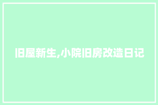 旧屋新生,小院旧房改造日记
