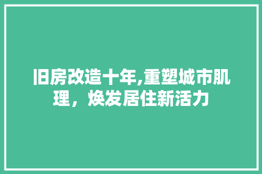 旧房改造十年,重塑城市肌理，焕发居住新活力