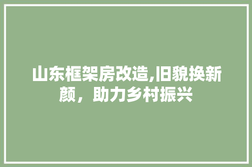 山东框架房改造,旧貌换新颜，助力乡村振兴