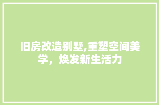 旧房改造别墅,重塑空间美学，焕发新生活力