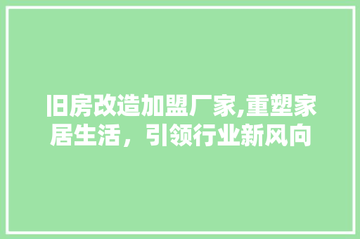 旧房改造加盟厂家,重塑家居生活，引领行业新风向