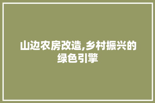 山边农房改造,乡村振兴的绿色引擎