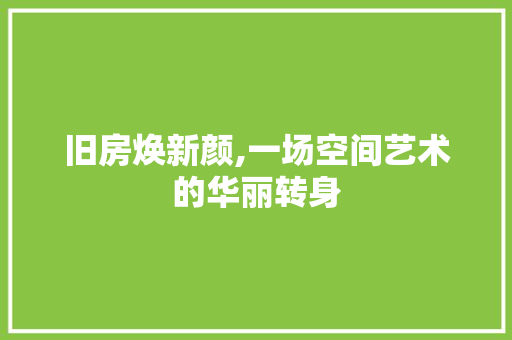 旧房焕新颜,一场空间艺术的华丽转身