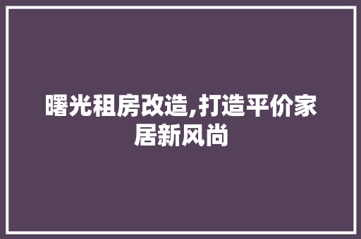曙光租房改造,打造平价家居新风尚