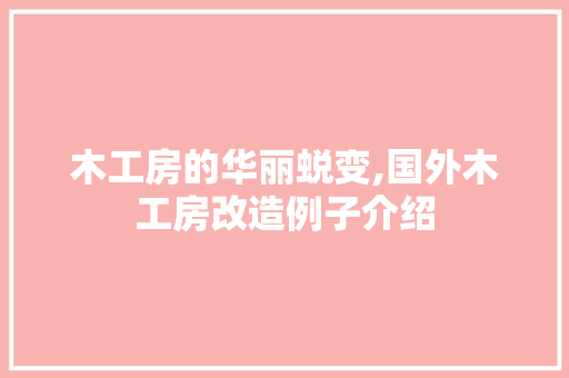 木工房的华丽蜕变,国外木工房改造例子介绍