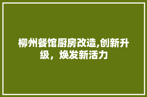 柳州餐馆厨房改造,创新升级，焕发新活力