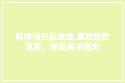 柳树沟旧房改造,重塑历史风貌，焕发城市活力
