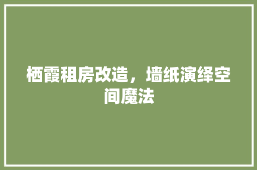 栖霞租房改造，墙纸演绎空间魔法
