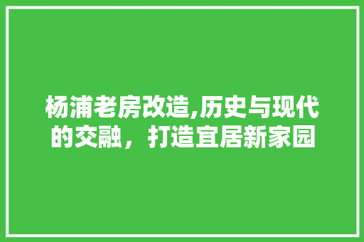 杨浦老房改造,历史与现代的交融，打造宜居新家园