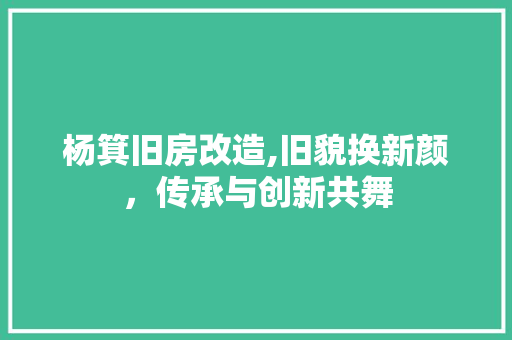 杨箕旧房改造,旧貌换新颜，传承与创新共舞