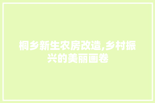 桐乡新生农房改造,乡村振兴的美丽画卷