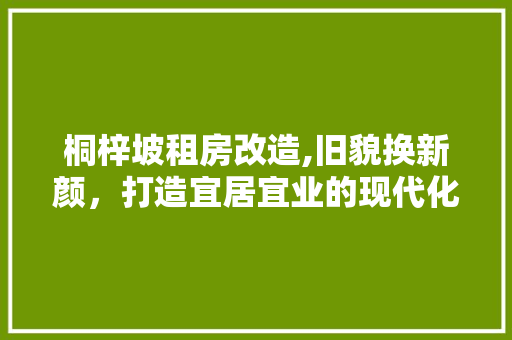 桐梓坡租房改造,旧貌换新颜，打造宜居宜业的现代化社区