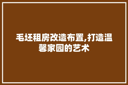 毛坯租房改造布置,打造温馨家园的艺术