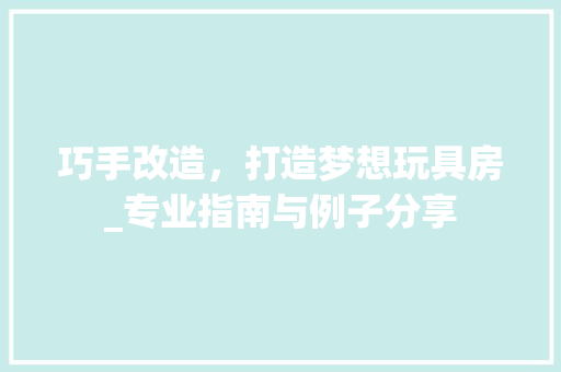 巧手改造，打造梦想玩具房_专业指南与例子分享