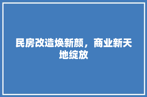 民房改造焕新颜，商业新天地绽放