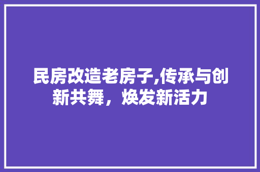 民房改造老房子,传承与创新共舞，焕发新活力