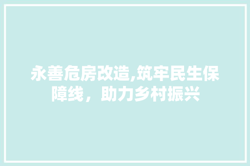 永善危房改造,筑牢民生保障线，助力乡村振兴