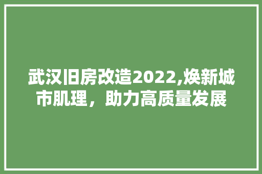 武汉旧房改造2022,焕新城市肌理，助力高质量发展
