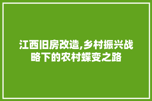 江西旧房改造,乡村振兴战略下的农村蝶变之路