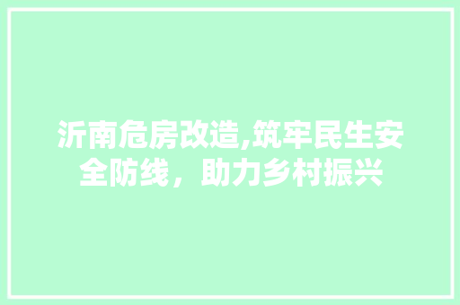 沂南危房改造,筑牢民生安全防线，助力乡村振兴