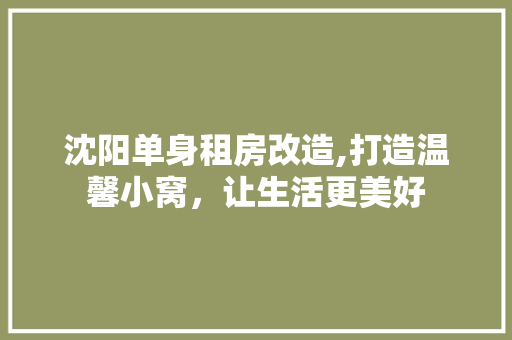 沈阳单身租房改造,打造温馨小窝，让生活更美好