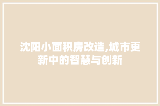 沈阳小面积房改造,城市更新中的智慧与创新