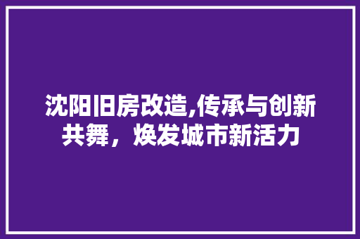 沈阳旧房改造,传承与创新共舞，焕发城市新活力