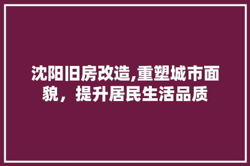 沈阳旧房改造,重塑城市面貌，提升居民生活品质