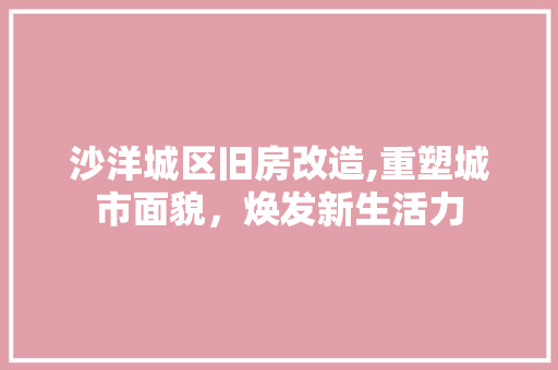 沙洋城区旧房改造,重塑城市面貌，焕发新生活力