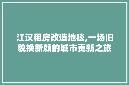 江汉租房改造地毯,一场旧貌换新颜的城市更新之旅