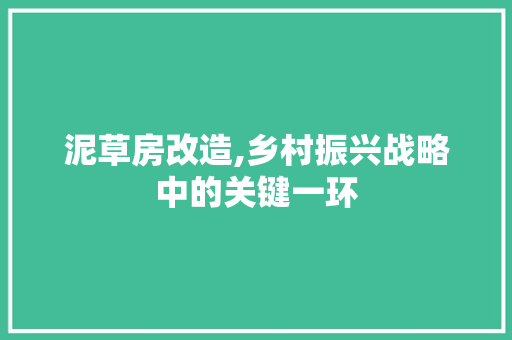 泥草房改造,乡村振兴战略中的关键一环