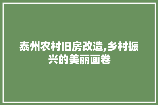 泰州农村旧房改造,乡村振兴的美丽画卷