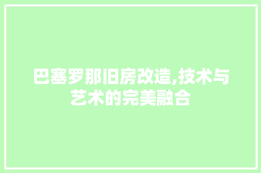 巴塞罗那旧房改造,技术与艺术的完美融合