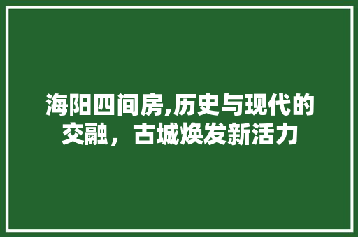 海阳四间房,历史与现代的交融，古城焕发新活力